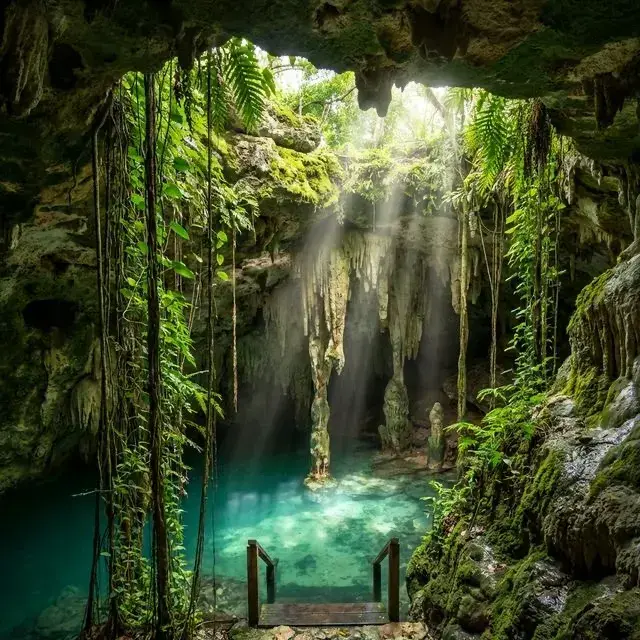 Imagen de 7 Cenotes en Yucatán Poco Conocidos que Debes Visitar en 2026